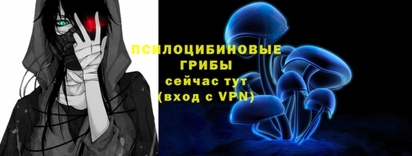 apvp Балахна
