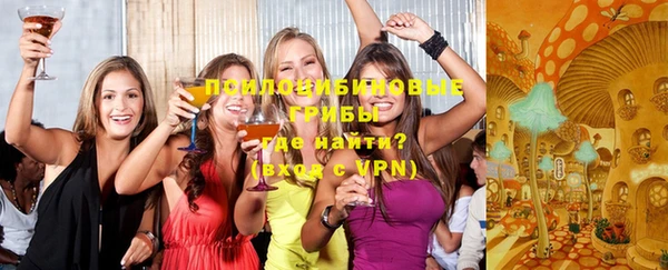 apvp Балахна