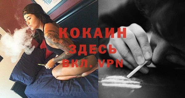 apvp Белокуриха